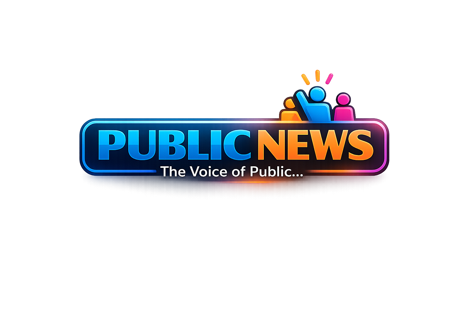 THE PUBLIC NEWS