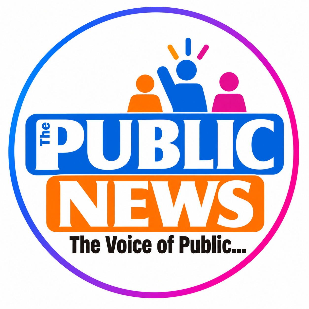 THE PUBLIC NEWS